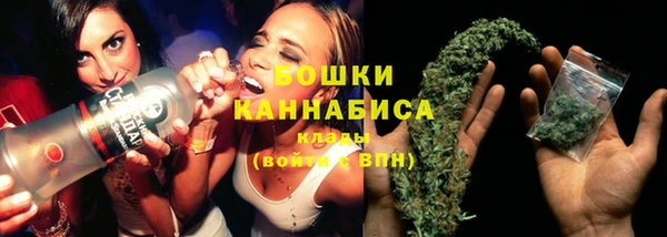 PSILOCYBIN Лабытнанги