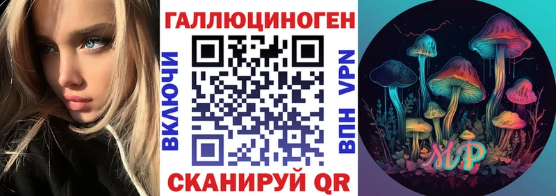 купить наркоту  Мглин  Галлюциногенные грибы GOLDEN TEACHER 